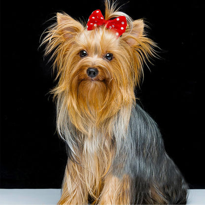 Dog Bows 70 Pcs/35 Pairs Metal Clips Puppy Yorkie Small Dog Bowknot Hair Bows/Handmade Cute Patterns Topknot Bows for Pet Grooming Hair Accessories(70 Pcs Metal Clips)